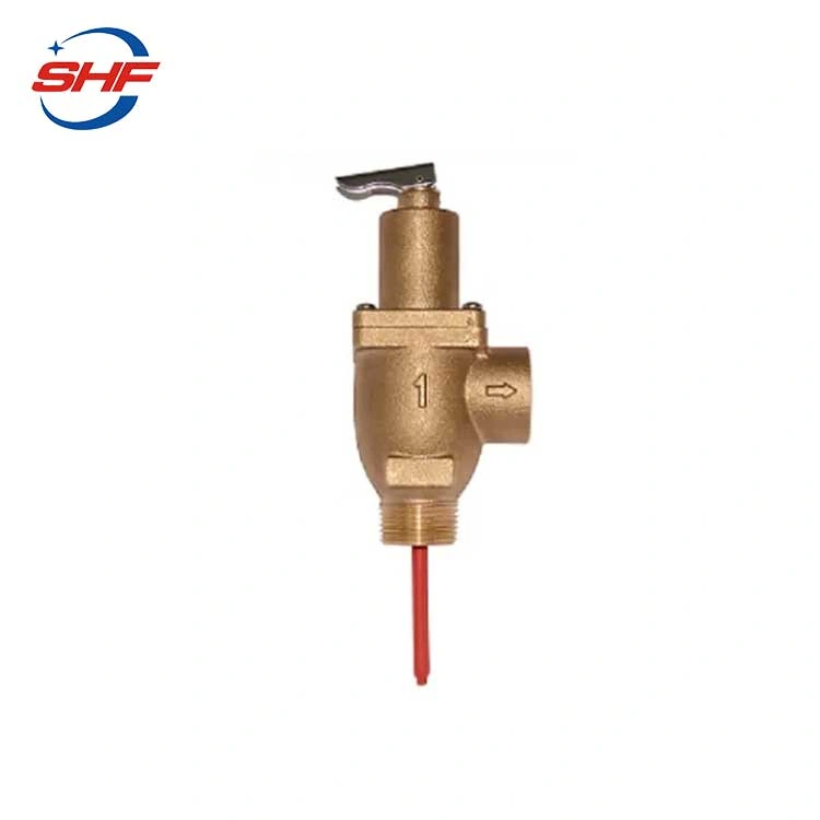 Safety Valve for Boiler Steam Safety Relief Water Pressure Bronze Safety Valve