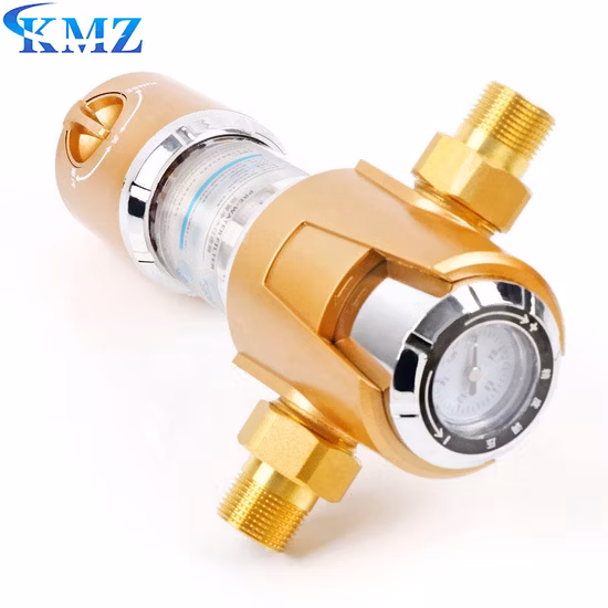 Prezzo all'ingrosso Materiale in ottone da 10 a 200 Mircons Rimozione di metalli pesanti all'aperto Alloggiamento del prefiltro dell'acqua per tutta la casa con cartuccia