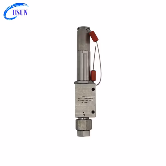 Modello Usun: Frv10 Valvola di sicurezza ad alta pressione simile per anca per banco di prova di sicurezza